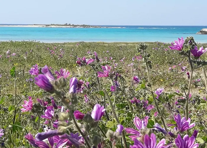 Piccola Residenza Marina *