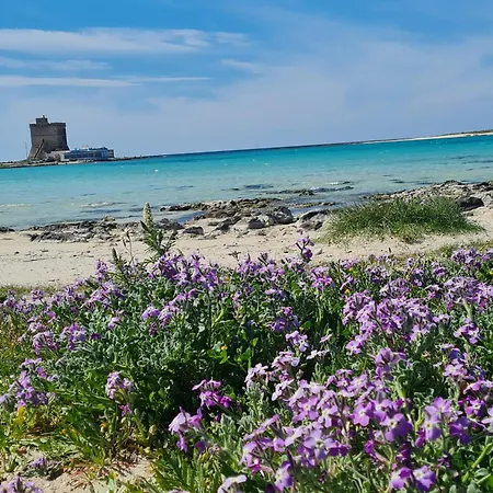 Piccola Residenza Marina Sant Isidoro (Apulia)