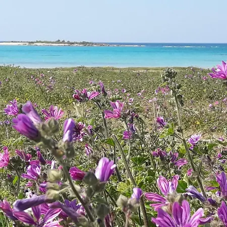 Piccola Residenza Marina *